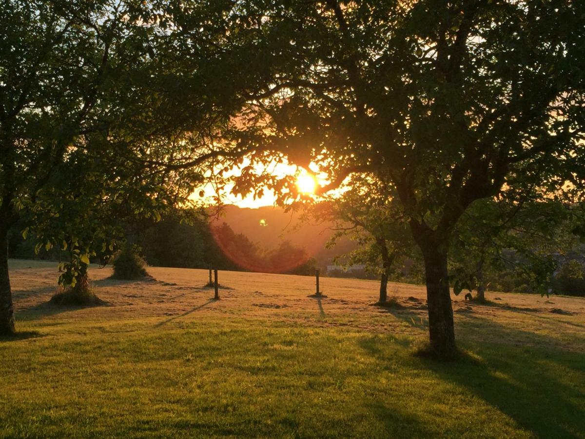 Domaine De Lascaux Bed & Breakfast Montignac-Lascaux Ngoại thất bức ảnh